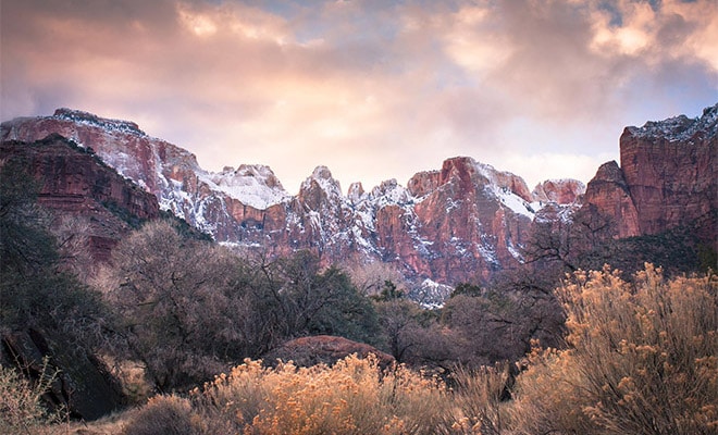 Photographer’s Notebook: Guide to Capturing Zion National Park