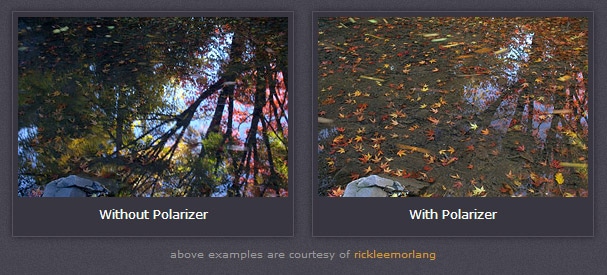 With and Without a Polarizer