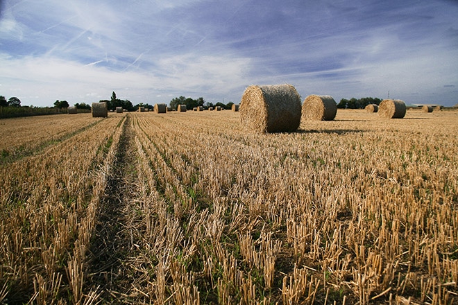 15 Steps to an Amazing Landscape Photo