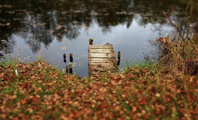 10 Tips for Beautiful Fall Photos