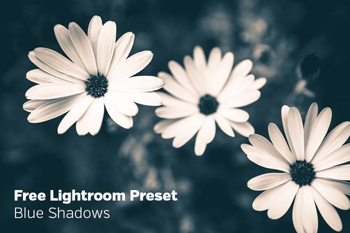 Free Lightroom Preset: Blue Shadows