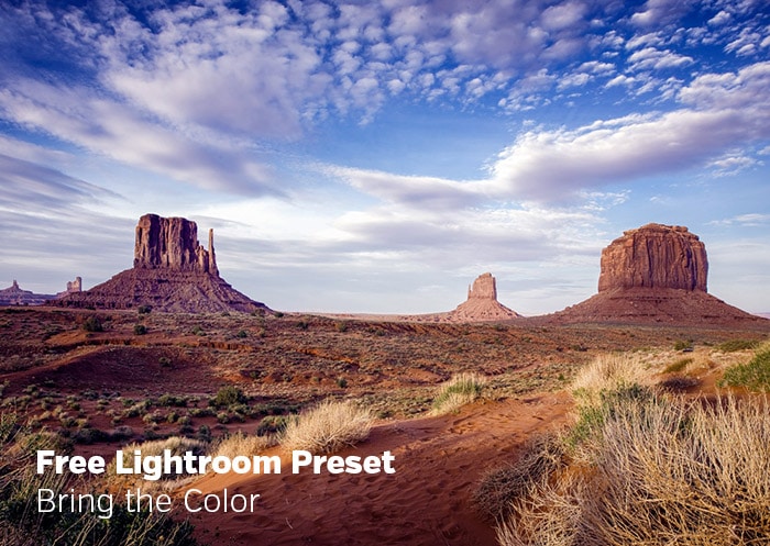 Free Lightroom Preset: Bring the Color