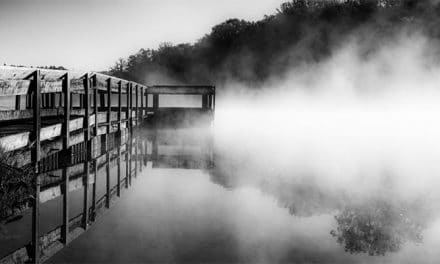 How to Photograph in Mist & Fog