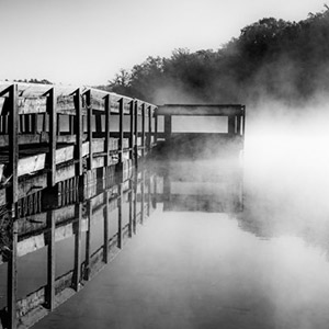 How to Photograph in Mist and Fog