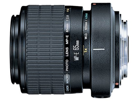 Reviews of the Best Macro Lenses for Canon DSLRs
