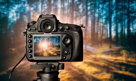 The Best Tripods and Why You Need it for Landscape Photography
