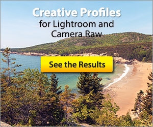 Creative Profiles for Lightroom and Camera Raw