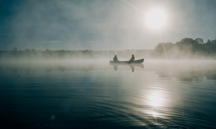 Fog and Mist: Tips, Photoshop, and Beautiful Examples