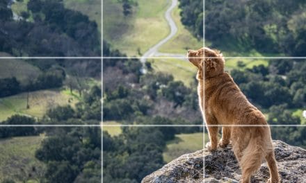 Why You Should Know the Rule of Thirds for Better Photos