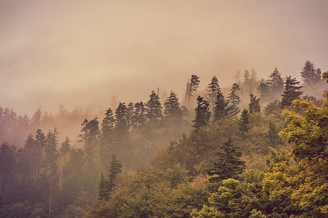 Photography Guide to Great Smoky Mountains National Park