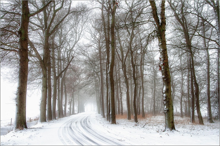 Winter Landscape Photography Tips Ideas And Examples