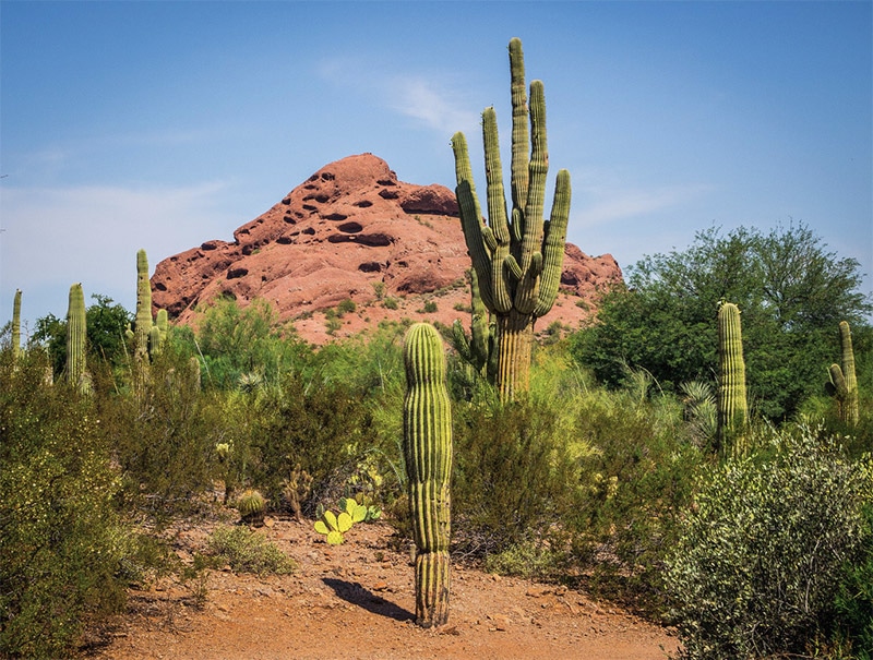 The Best Locations in Arizona for Photography
