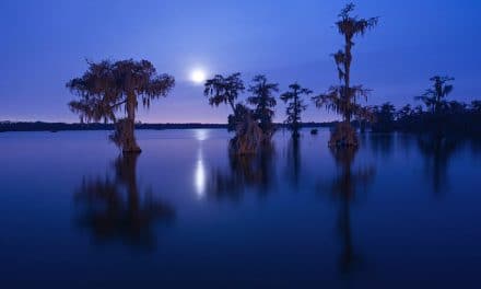 The Best Places to Photograph in Louisiana