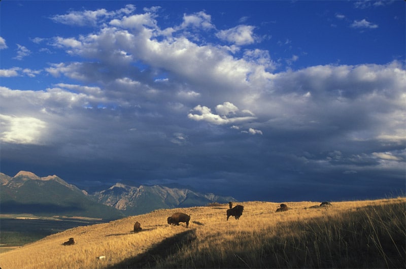 The Best Places to Photograph in Montana