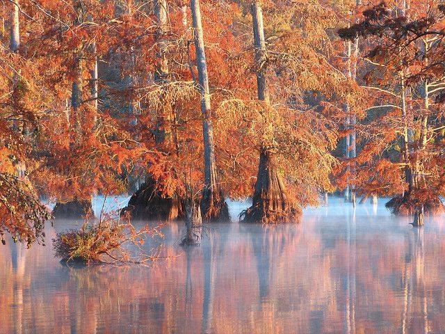 The Best Locations in Mississippi for Photography