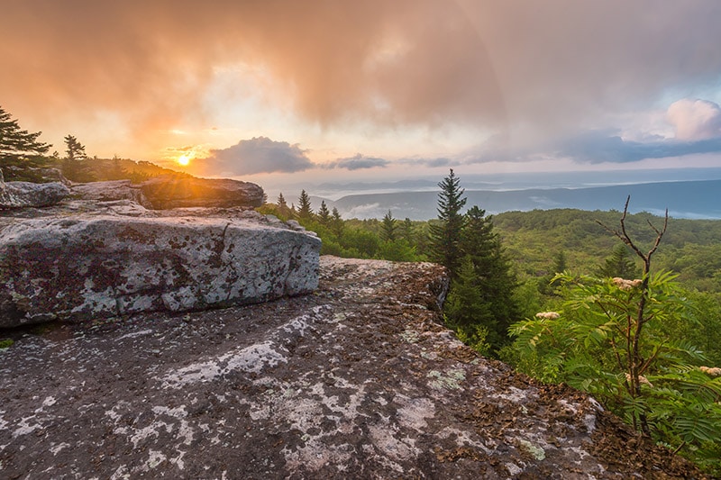Guide to Photographing the Dolly Sods Wilderness in West Virginia