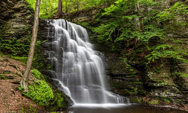 Photography Guide to Bushkill Falls (Pennsylvania)