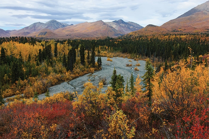 The Best Places to Photograph in Alaska
