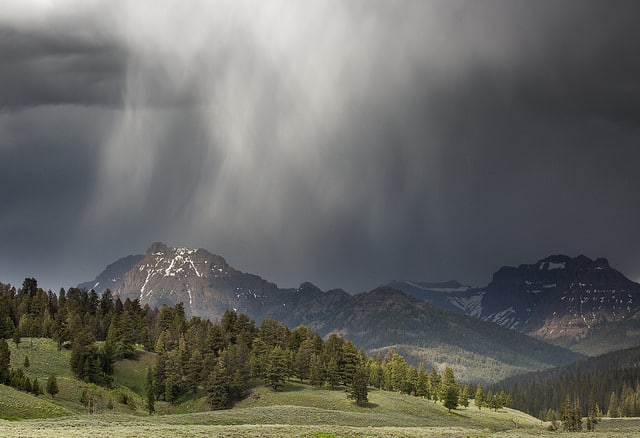 Photographing in the Rain: 8 Things to Photograph on Rainy Days