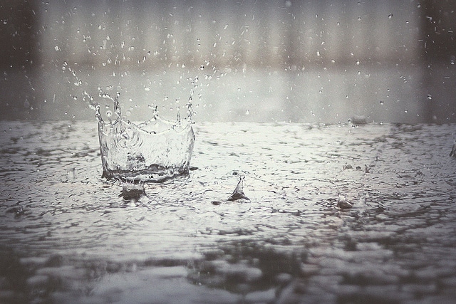 8 Things to Photograph on Rainy Days