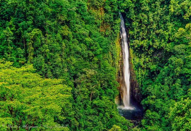 Amazing Wildlife and Nature Photos from Costa Rica