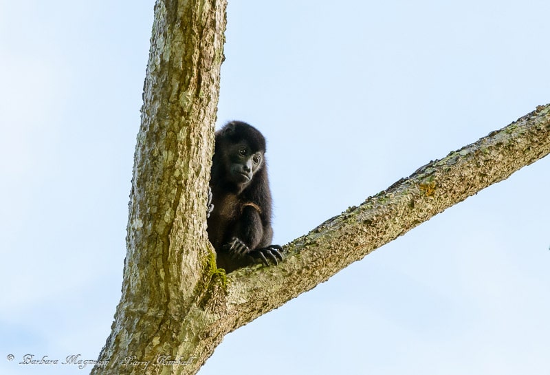 Amazing Wildlife and Nature Photos from Costa Rica