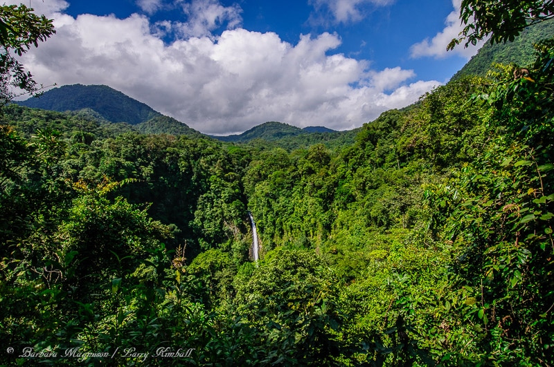 Amazing Wildlife and Nature Photos from Costa Rica