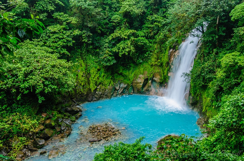 Amazing Wildlife and Nature Photos from Costa Rica