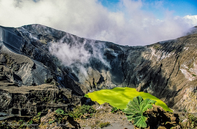 Amazing Wildlife and Nature Photos from Costa Rica