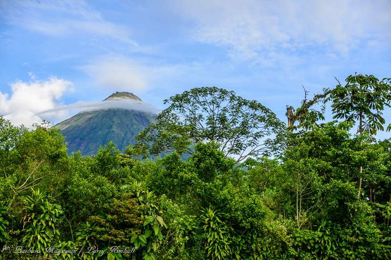 Amazing Wildlife and Nature Photos from Costa Rica