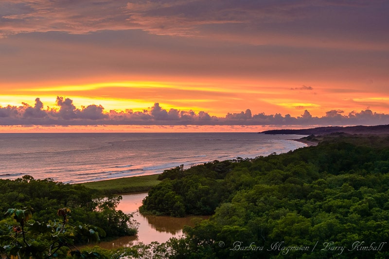 Amazing Wildlife and Nature Photos from Costa Rica