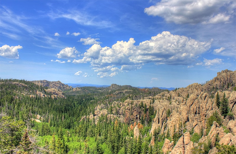 Guide to Photographing Custer State Park (South Dakota)