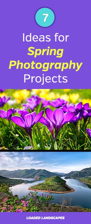 Spring Photography Ideas