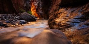 Capturing the Glow in the Narrows of Zion National Park