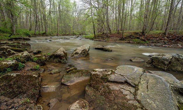 Photography Guide to Gunpowder Falls State Park (Maryland)