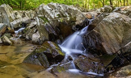 Photography Guide to Scott’s Run Nature Preserve (Virginia)