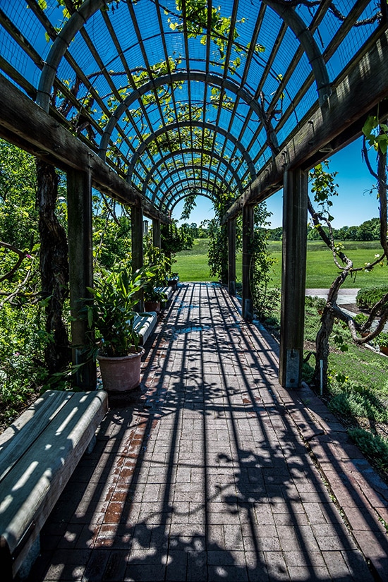 Photography Guide to the National Arboretum (DC)