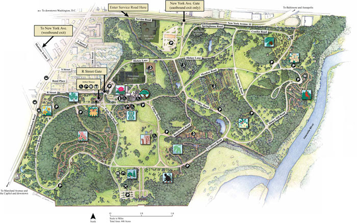 Photography Guide to the National Arboretum (DC)