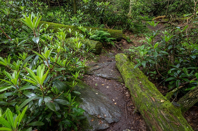 Photographing the Tucquan Glen Nature Preserve