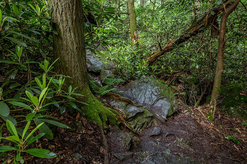 Photographing the Tucquan Glen Nature Preserve