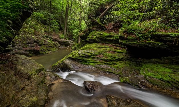 Photographing the Tucquan Glen Nature Preserve (Pennsylvania)