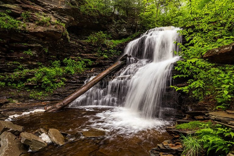 Photographer's Guide to Ricketts Glen State Park (Pennsylvania)