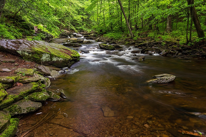 Ricketts Glen State Park