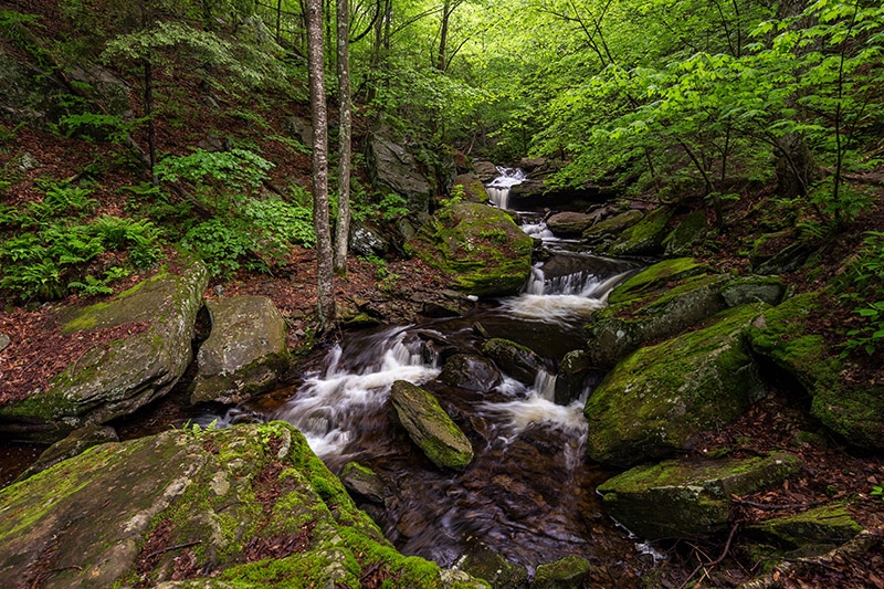 Ricketts Glen State Park