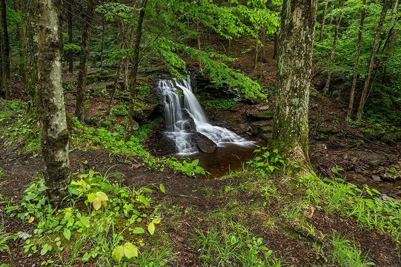 Guía de fotografía de Dry Run Falls (Pensilvania)