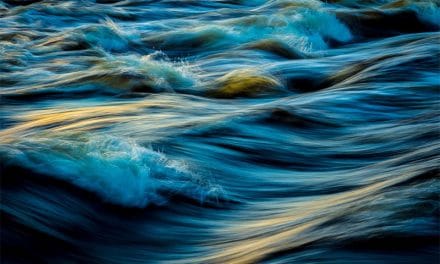 Shooting Beautiful Abstract Nature Photography with Examples