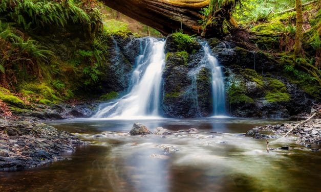 How and Why to Use a Neutral Density Filter