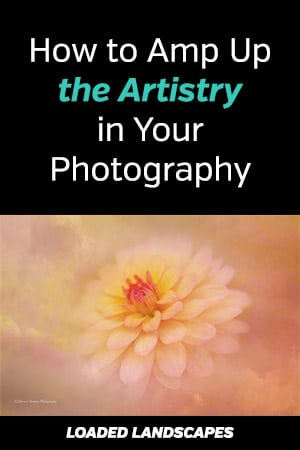 How to Amp Up the Artistry in Your Photography