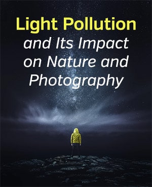 Light Pollution and Its Impact on Nature and Photography