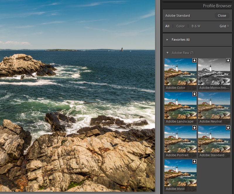 adobe camera raw profiles